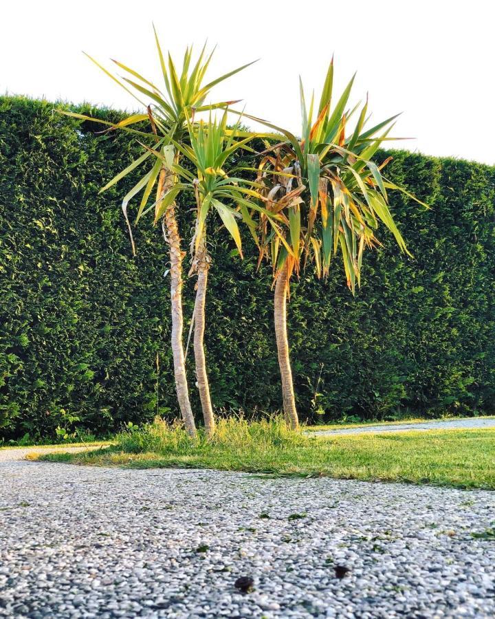 Farm stay La Conte