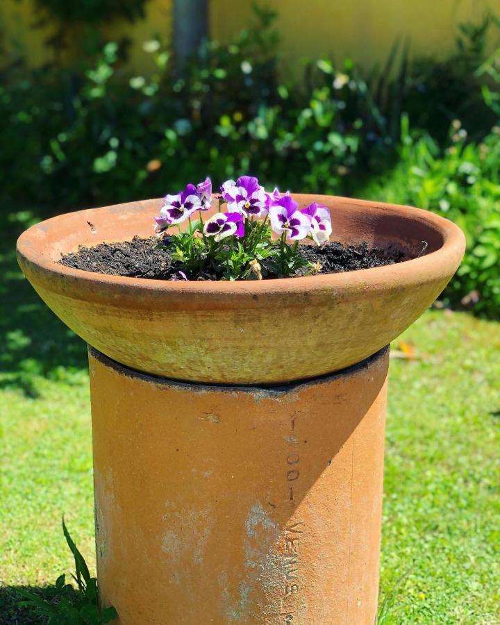 Farm stay La Conte Lucca